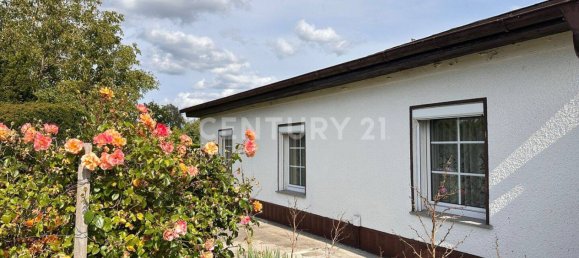 4-Zimmer Bungalow in Barnim, Germany, Nr. 339525 3