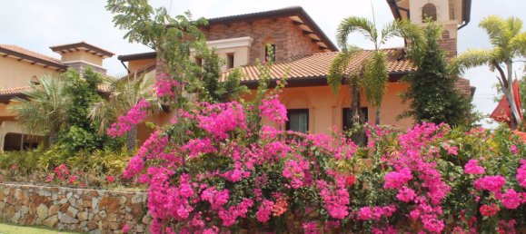 Café/restaurante de 4 dormitorios en Pattaya, Thailand No. 1917 2