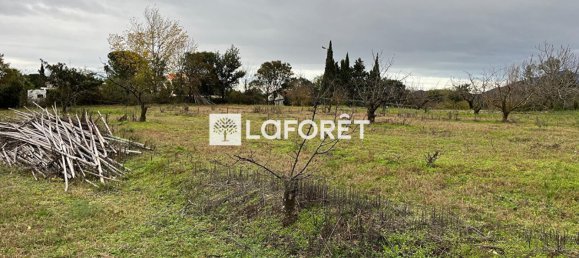 Grundstück in Ceret, France 6962m², Nr. 106671 9