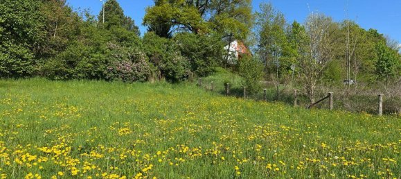 2935m² Land in Kapfenberg, Austria No. 165184 2