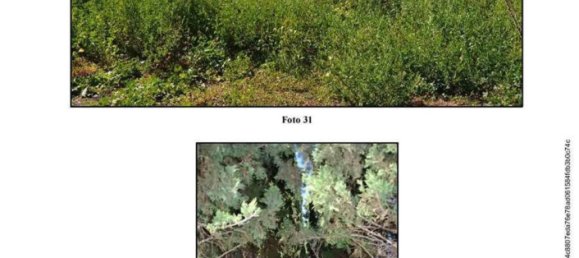 12-salle Maison à Somma Vesuviana, Italy No. 13817 12