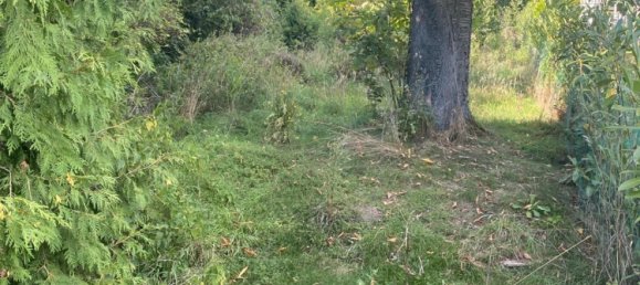  Land in Schaumburg, Germany No. 310123 5