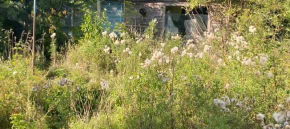  Land in Schaumburg, Germany No. 310123 4