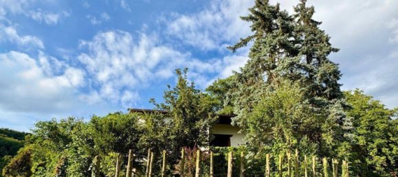 4-salle Maison à Steyregg, Austria No. 234031 25