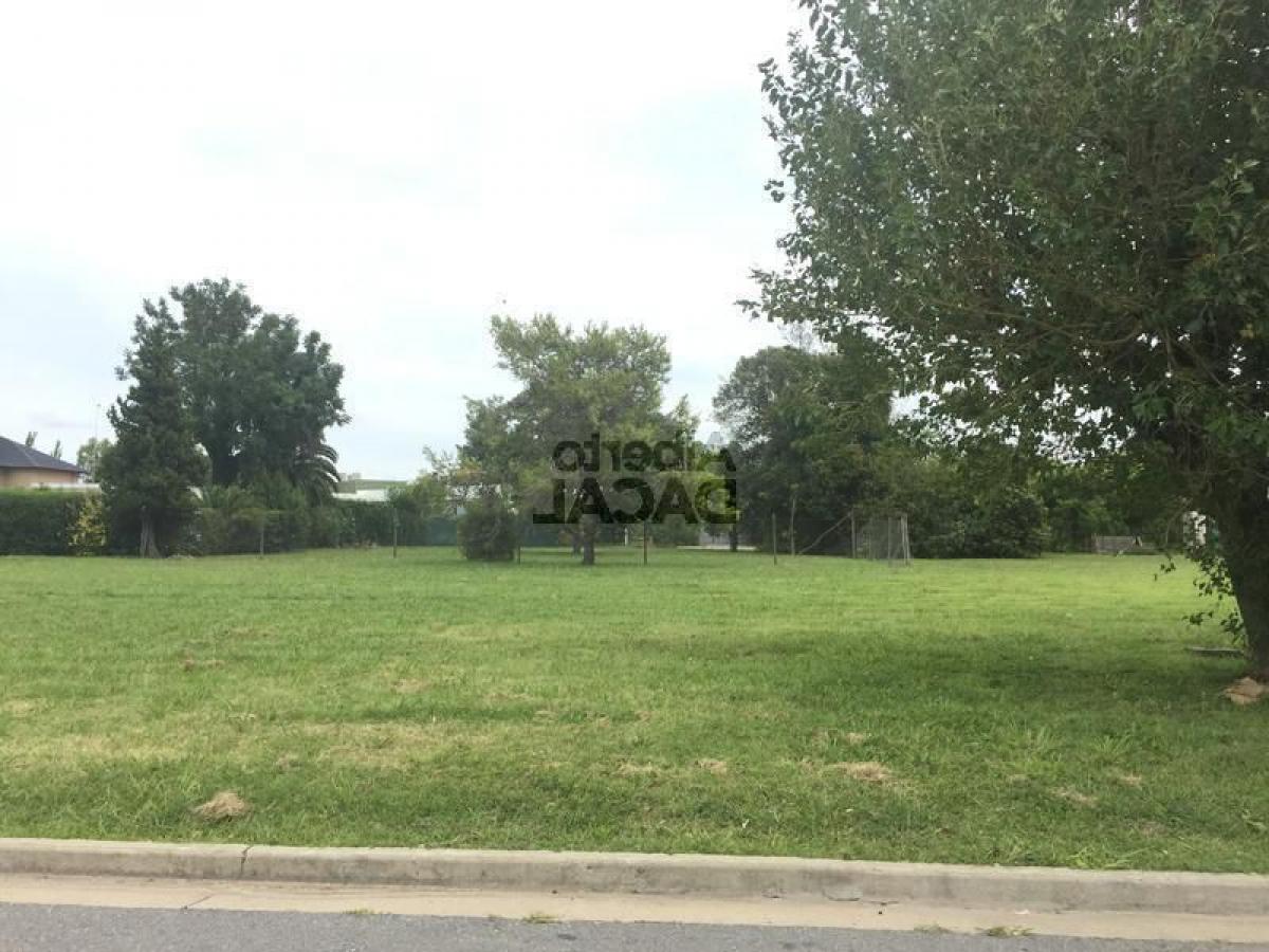 Grundstück in Campo Creado, Argentina, Nr. 33417