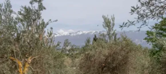 Terrain à Las Gabias, Spain No. 175252 43