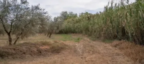 Terrain à Las Gabias, Spain No. 175252 32