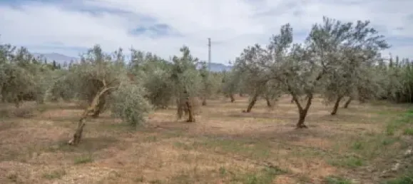 Terrain à Las Gabias, Spain No. 175252 37