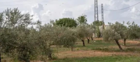 Terrain à Las Gabias, Spain No. 175252 22