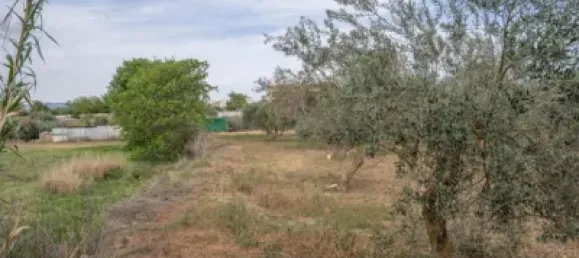 Terrain à Las Gabias, Spain No. 175252 15