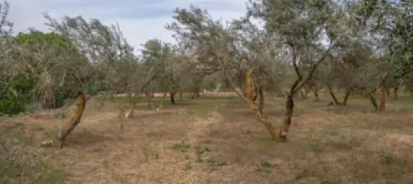 Terrain à Las Gabias, Spain No. 175252 13