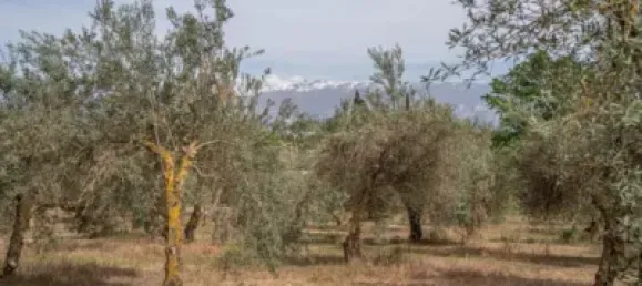 Terrain à Las Gabias, Spain No. 175252 42