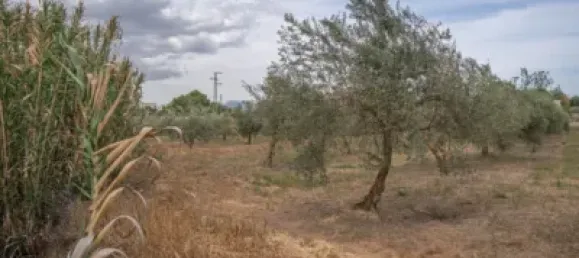 Terrain à Las Gabias, Spain No. 175252 35