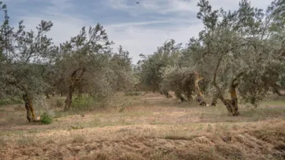 Terrain à Las Gabias, Spain No. 175252