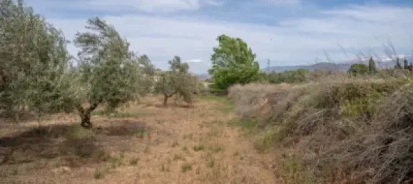Terrain à Las Gabias, Spain No. 175252 47