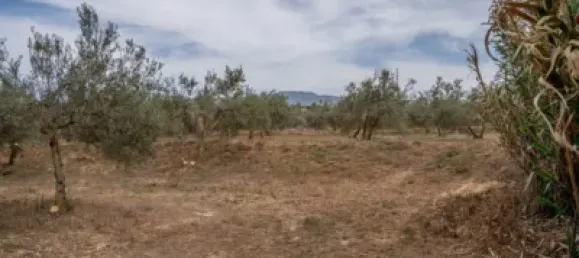 Terrain à Las Gabias, Spain No. 175252 9