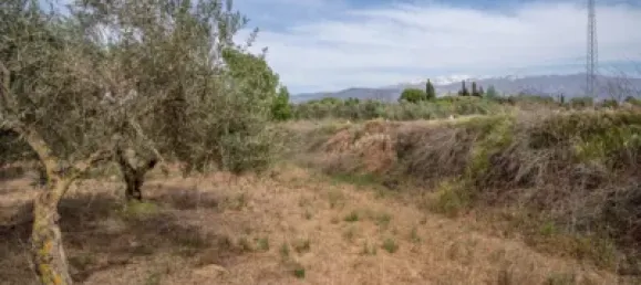 Terrain à Las Gabias, Spain No. 175252 46