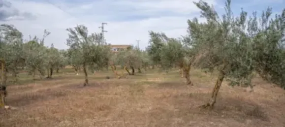 Terrain à Las Gabias, Spain No. 175252 11