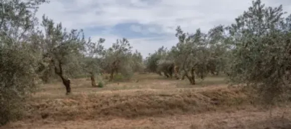 Terrain à Las Gabias, Spain No. 175252 25