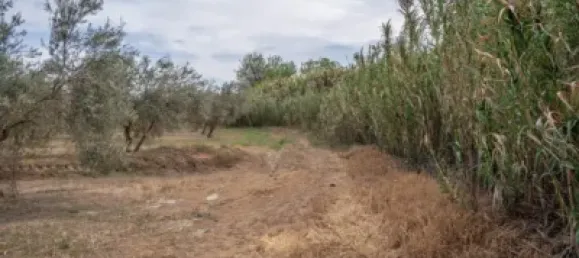 Terrain à Las Gabias, Spain No. 175252 36