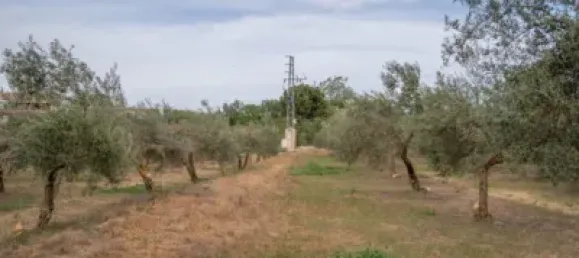 Terrain à Las Gabias, Spain No. 175252 6