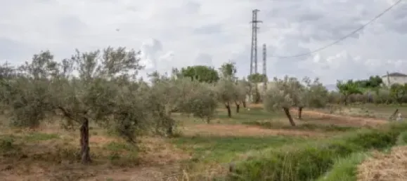 Terrain à Las Gabias, Spain No. 175252 21