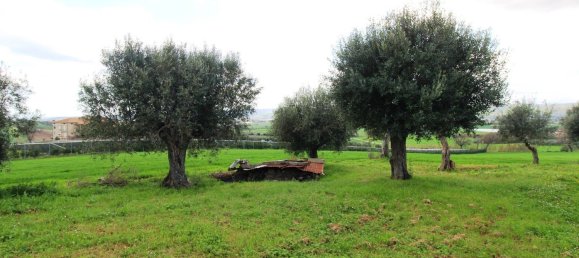 4 bedrooms House in Morrovalle, Italy No. 351496 2