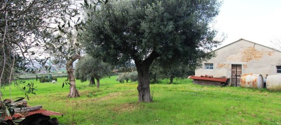 4 bedrooms House in Morrovalle, Italy No. 351496 14