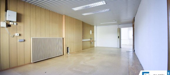17-salle Propriété commerciale à Lenzing, Austria No. 29654 23