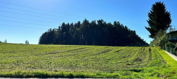 Grundstück in Grafenbach-St. Valentin, Austria, Nr. 202211 2