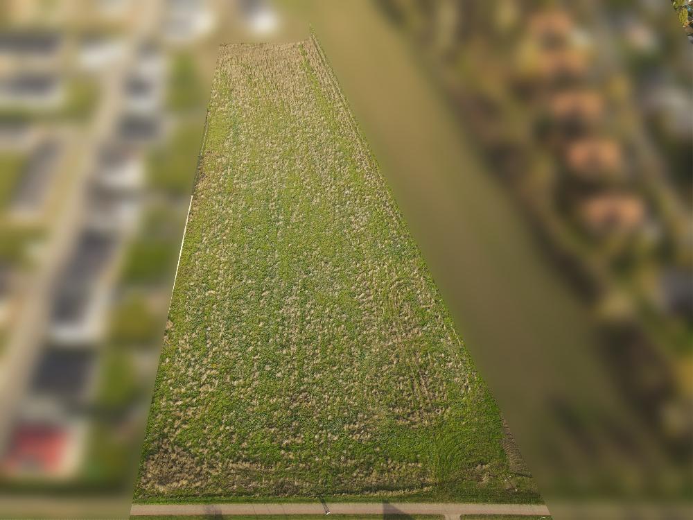  Land in Borde, Germany No. 243829