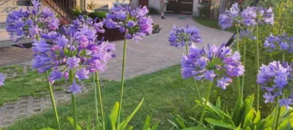 8 rooms House in Markisch-Oderland, Germany No. 323575 47