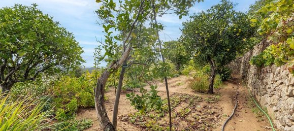 2 bedrooms House in Monchique, Portugal No. 166291 20