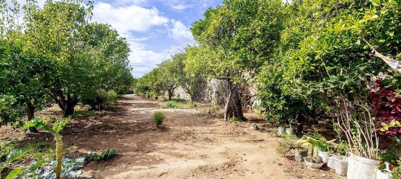 2 bedrooms House in Monchique, Portugal No. 166291 23