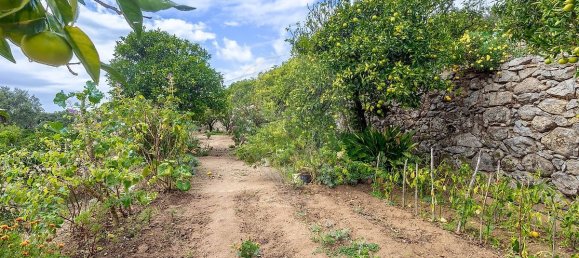 2 bedrooms House in Monchique, Portugal No. 166291 21