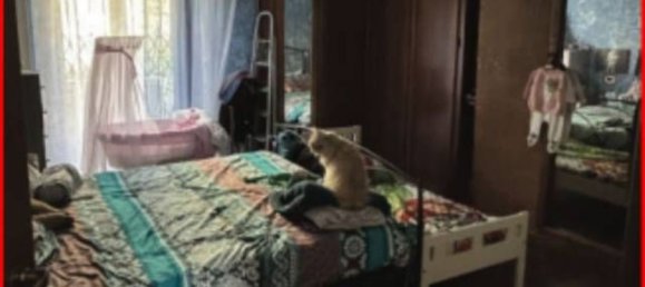 3 rooms Apartment in Cormano, Italy No. 215839 11