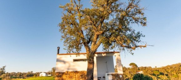 2 bedrooms House for sale in Santiago do Cacem, Setubal, Portugal № 141975 46