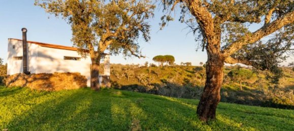 2 bedrooms House for sale in Santiago do Cacem, Setubal, Portugal № 141975 47