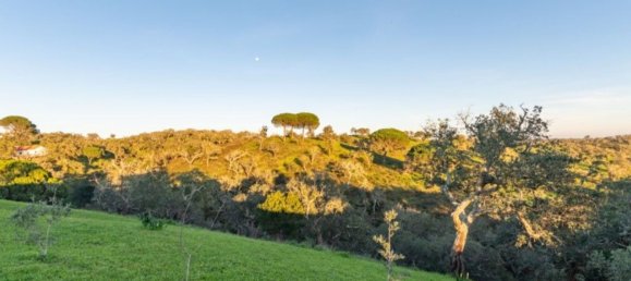 2 bedrooms House for sale in Santiago do Cacem, Setubal, Portugal № 141975 37