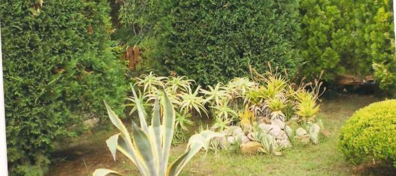 Casa T3 em Zakynthos, Greece N.º 486 2