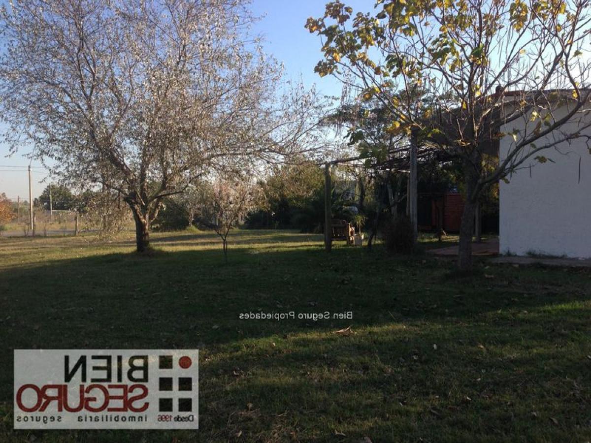 Estúdio em Canelones, Uruguay N.º 1553