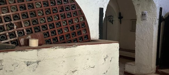 Gewerbliche Immobilie in Lipari, Italy 420m², Nr. 251127 10