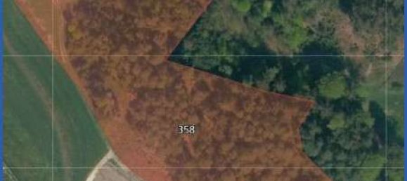  Land in Pfaffenhofen an der Ilm, Germany No. 186760 3