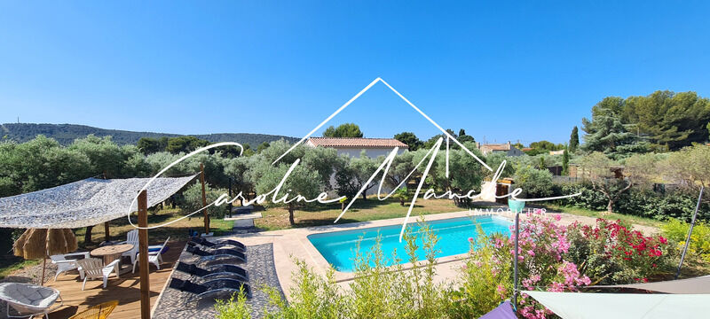 5 bedrooms House in La Fare-les-Oliviers, France No. 341568