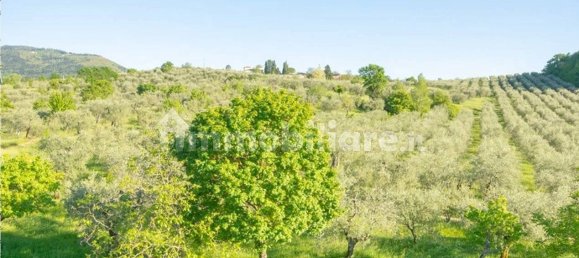 Casa de 10 dormitorios en Pelago, Italy No. 171466 6