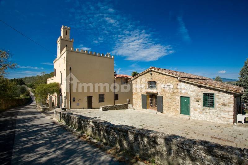 Casa de 10 dormitorios en Pelago, Italy No. 171466