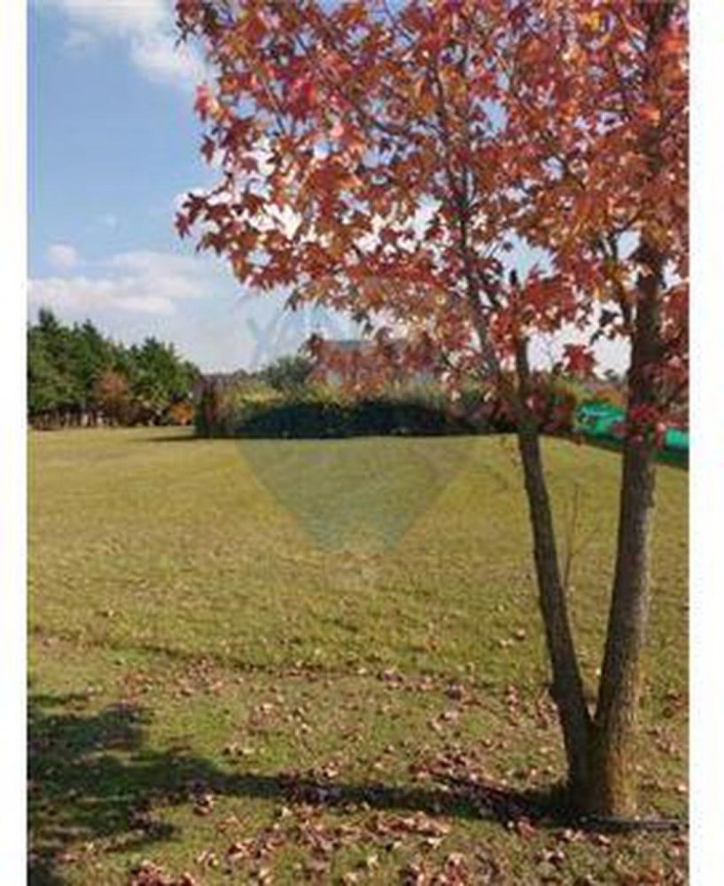 Grundstück in General Rodriguez, Argentina, Nr. 120514