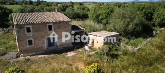  Land in Manacor, Spain No. 170990 2
