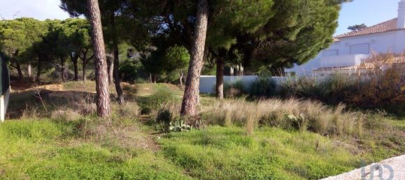 Terrain à Almancil, Portugal 805m² No. 109144 2