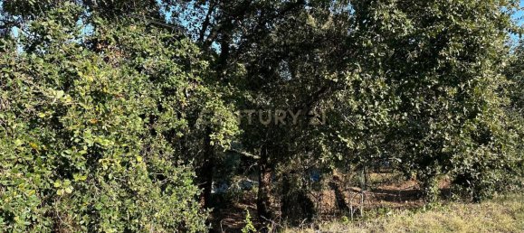 Grundstück in Coimbra, Portugal, Nr. 67975 9